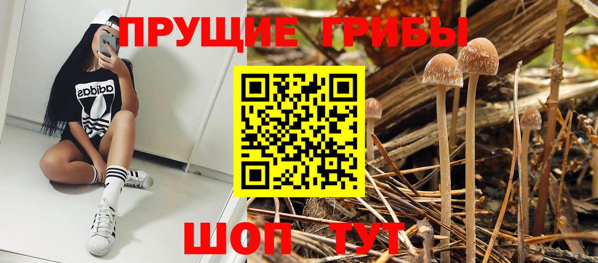 Рославль  Псилоцибиновые грибы MAGIC MUSHROOMS  Галлюциногенные грибы MAGIC MUSHROOMS  Вход с VPN 